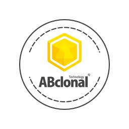 Abclonal